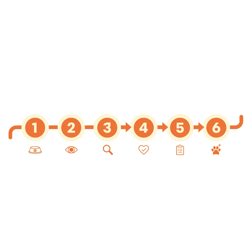 강아지 알러지 사료 6주 식이 시험 일정 가이드
