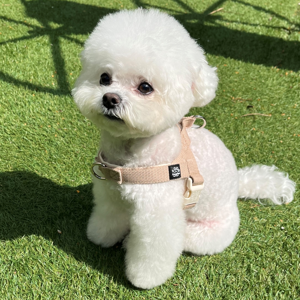 멍템 강아지 앞섬방지 팔레트 하네스, 파스텔 베이지, 1개 - 18,900원